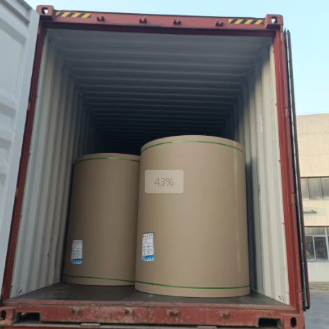 原木卷纸、、纸张可以走集装箱海运吗，，需要注重什么？？