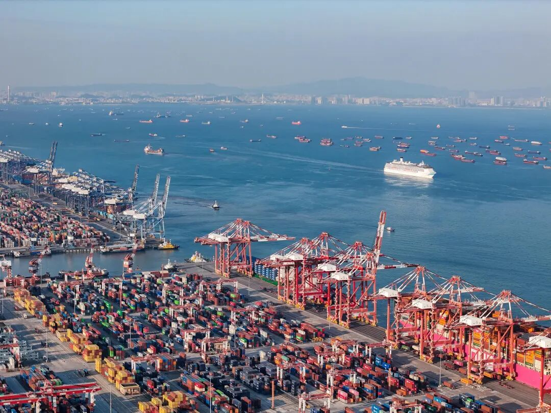 海运订舱，，，直接找船公司真的更划算吗？？？