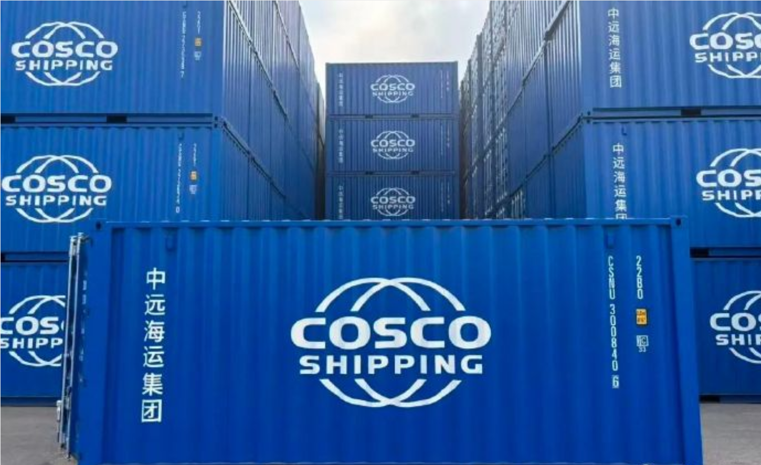 首页|尊龙集团中国官方网站