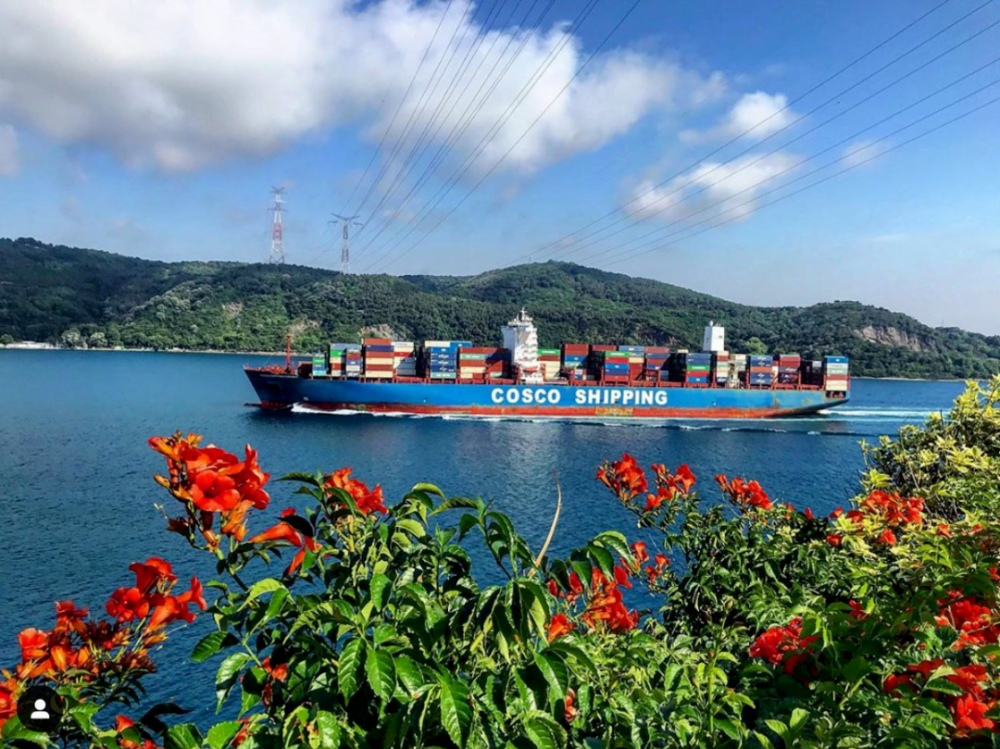 首页|尊龙集团中国官方网站