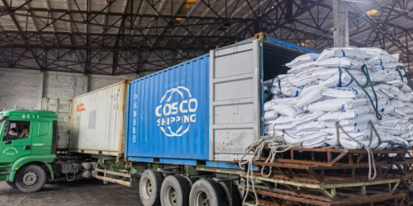 首页|尊龙集团中国官方网站