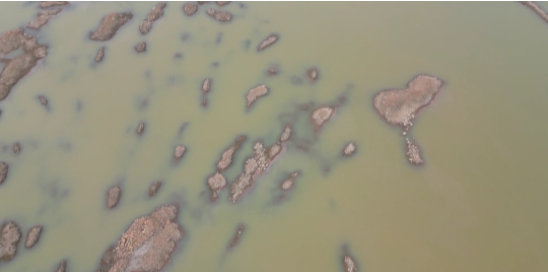 首页|尊龙集团中国官方网站