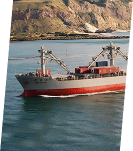 首页|尊龙集团中国官方网站